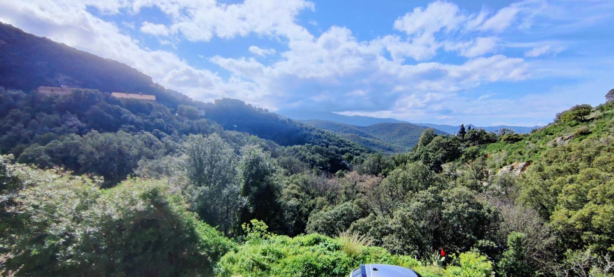 La Vallicella Farinole Δωμάτιο φωτογραφία